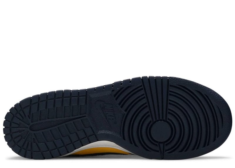 Dunk Low Michigan (GS)