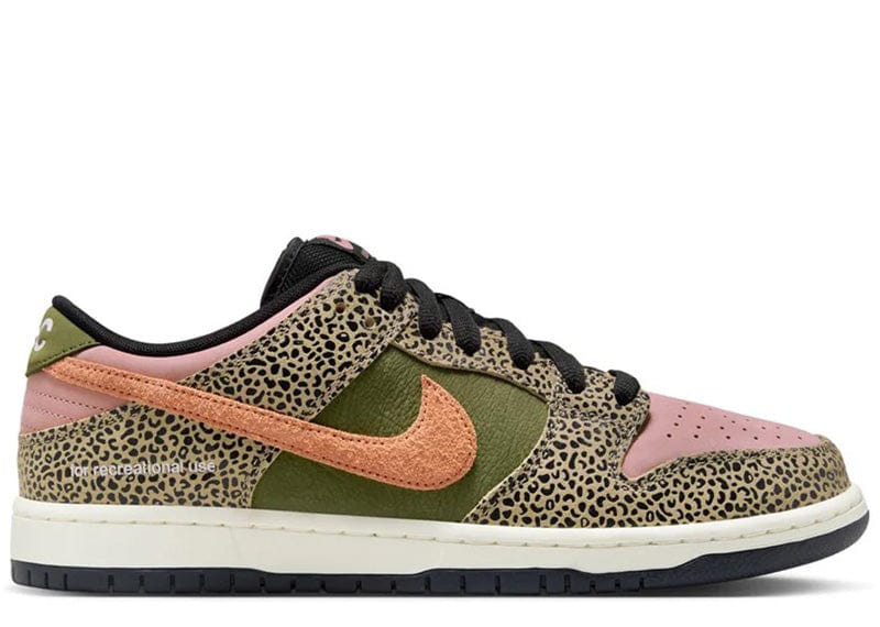 Nike SB Dunk Low Arts-Rec